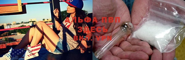 стафф Алзамай