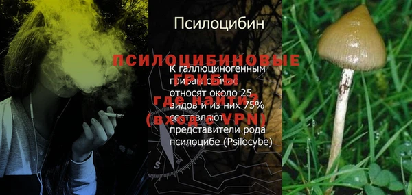 стафф Алзамай
