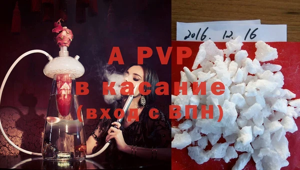 стафф Алзамай