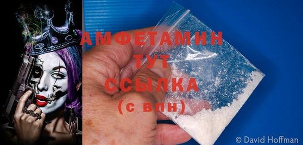 молекула духа Новодвинск