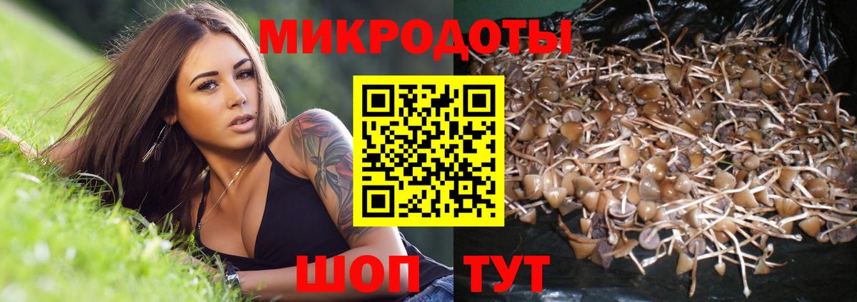 Майкоп  Галлюциногенные грибы мицелий  Вход с VPN  Псилоцибиновые грибы ЛСД 