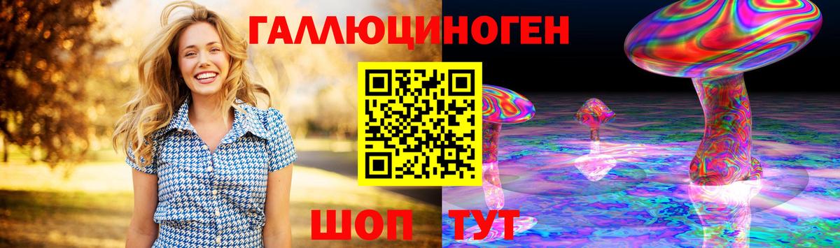 Галлюциногенные грибы Psilocybine cubensis Майкоп